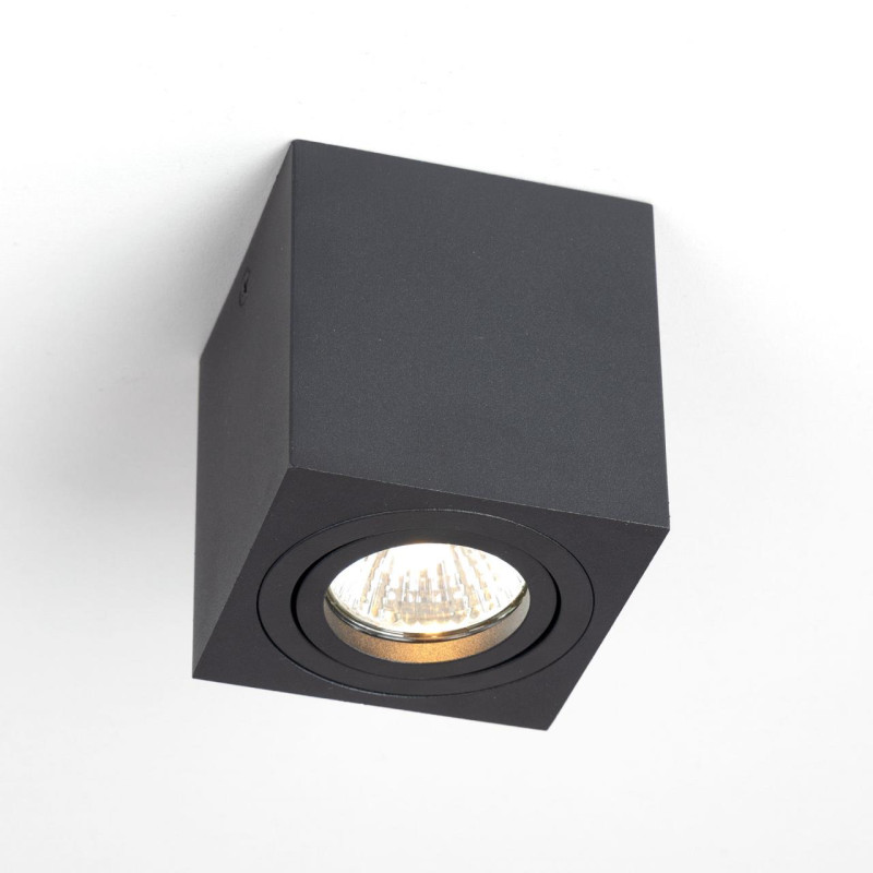 Светильник Черный Citilux Дюрен CL538213