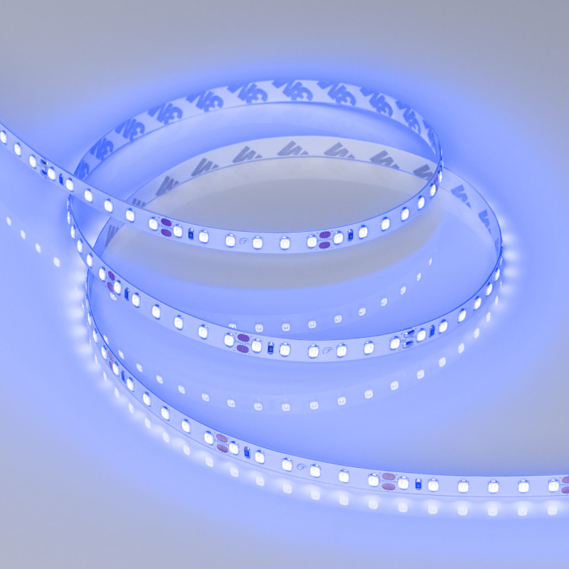 Светодиодная лента RT-A120-8mm 24V Blue (9.6 W/m, IP20, 5m) (Arlight, 9.6 Вт/м, IP20) 008783(2), цена за метр, катушкой по 5 м