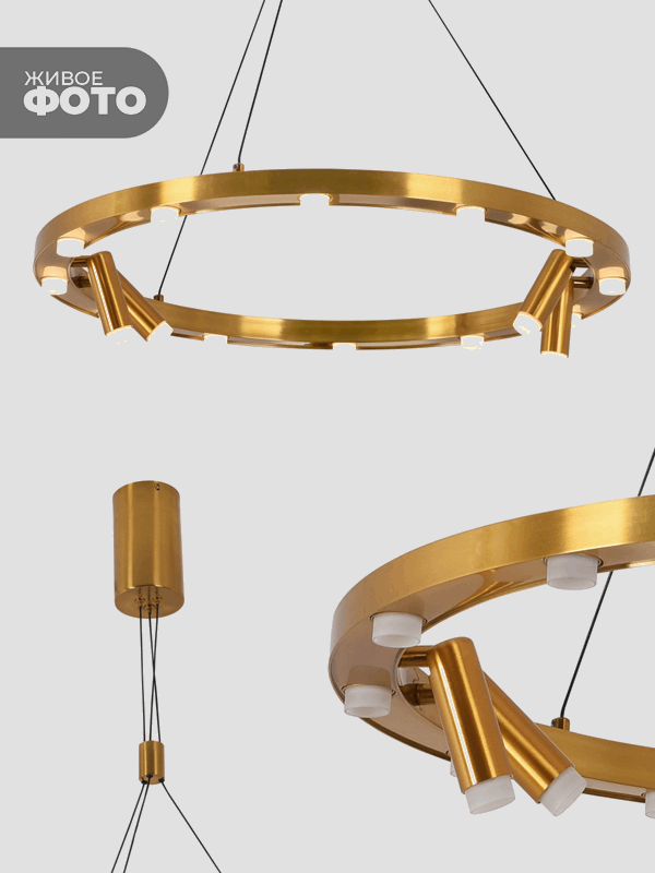 Светильник подвесной ElegantLight DZN-8223 BRONZE D650/H1200/12+4/LED/48W/3000K 22-10 VISION