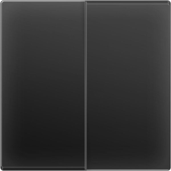 WL08-SW-2G/Выключатель двухклавишный (черный матовый), 4690389054150