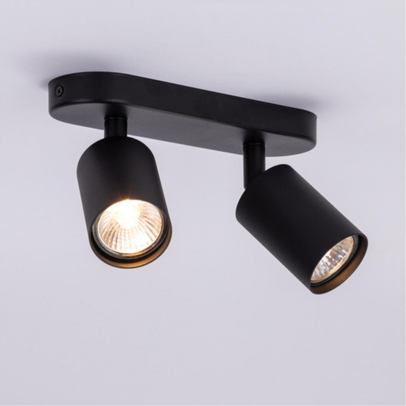 Светильник 22 см, Arte Lamp AQUARIUS A3226PL-2BK, черный