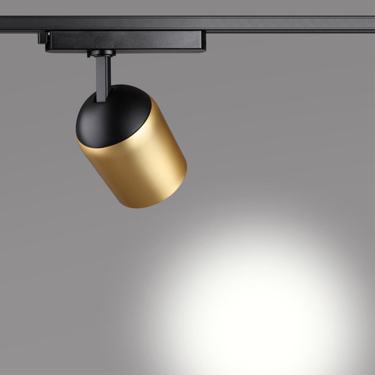 Трековый светодиодный светильник Novotech Kamp 358516, 25W LED, 4000K, черный-золото