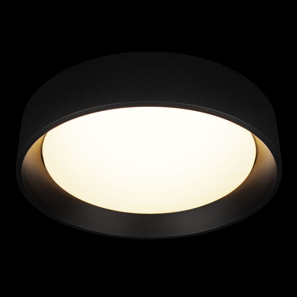 Потолочный светильник 45 см, 36W, 4000K, Loft IT Coin 10202 BB, черный