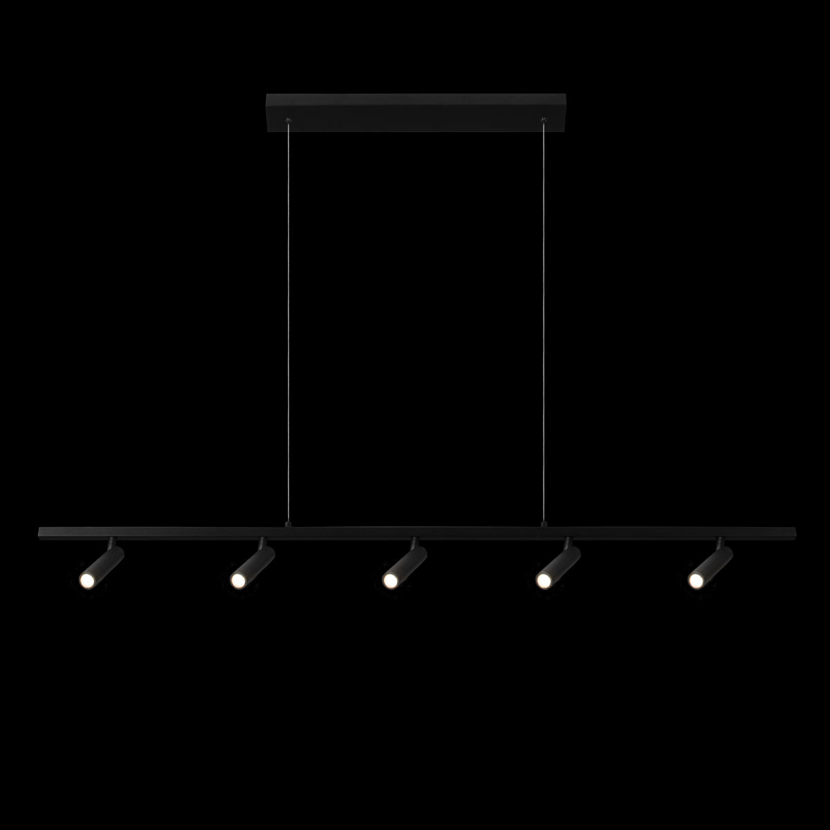 Подвесной светильник 110*1*160 см, 5*LED*3W 3200K LOFT IT Sign 10260/5 Black черный