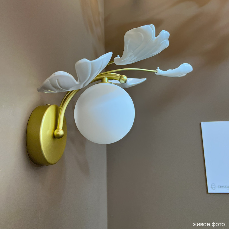 Бра 24 см, Crystal Lux COLIBRI AP1 GOLD, золото