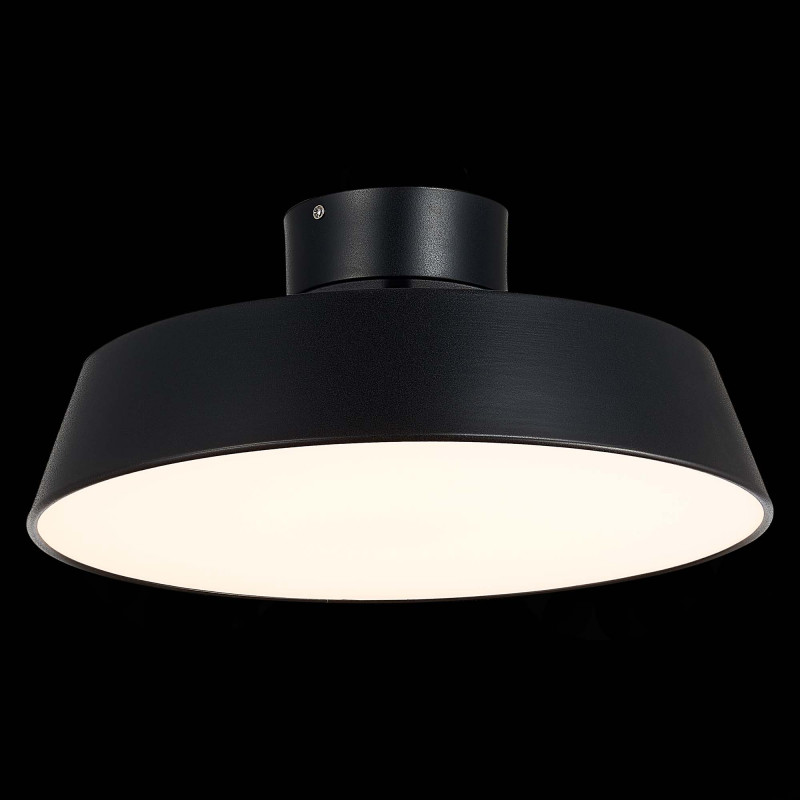 Светильник 40 см, 30W, 3000K  EVOLUCE  VIGO  SLE600242-01  Черный