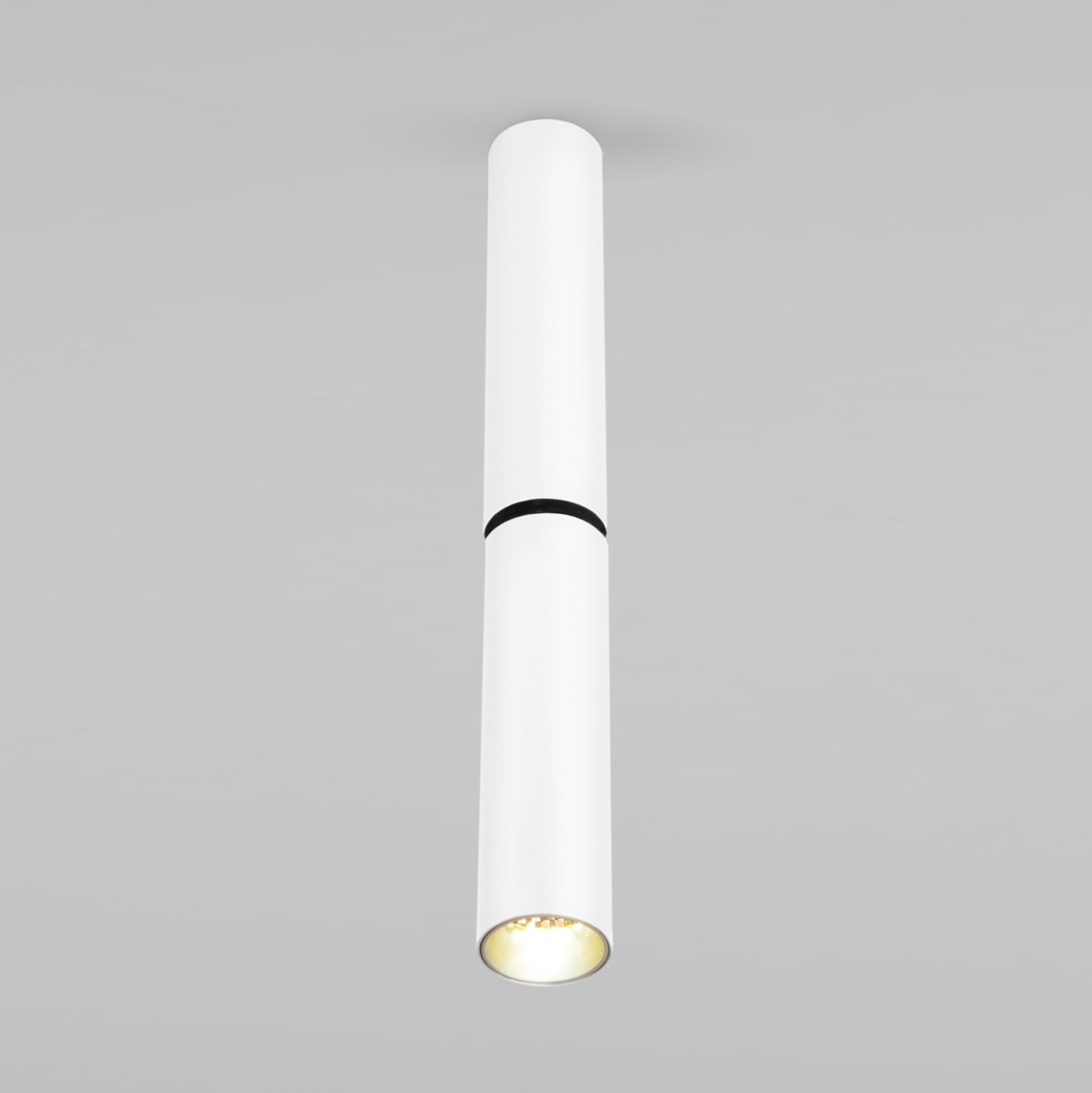 Накладной светодиодный светильник Pika 25029/LED 6W 4200K белый Elektrostandard