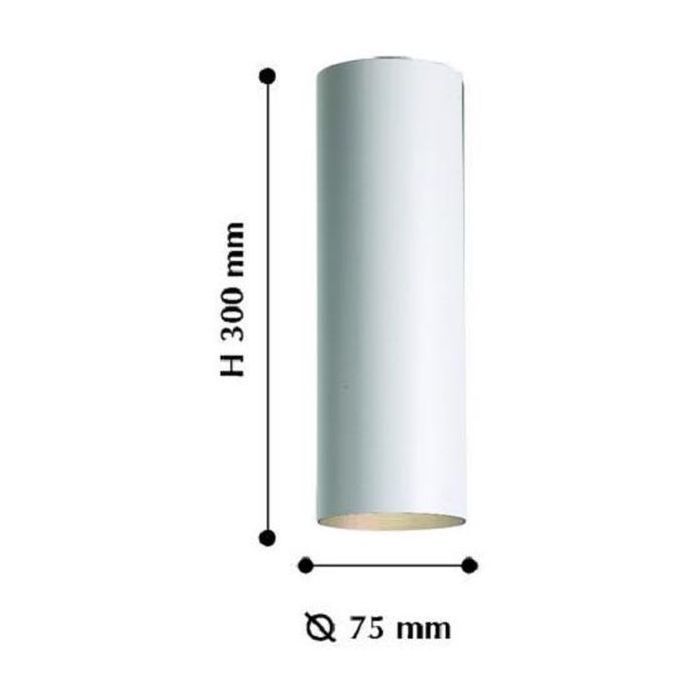 Потолочный светильник Favourite Drum 2248-1U, D75*H300, белый