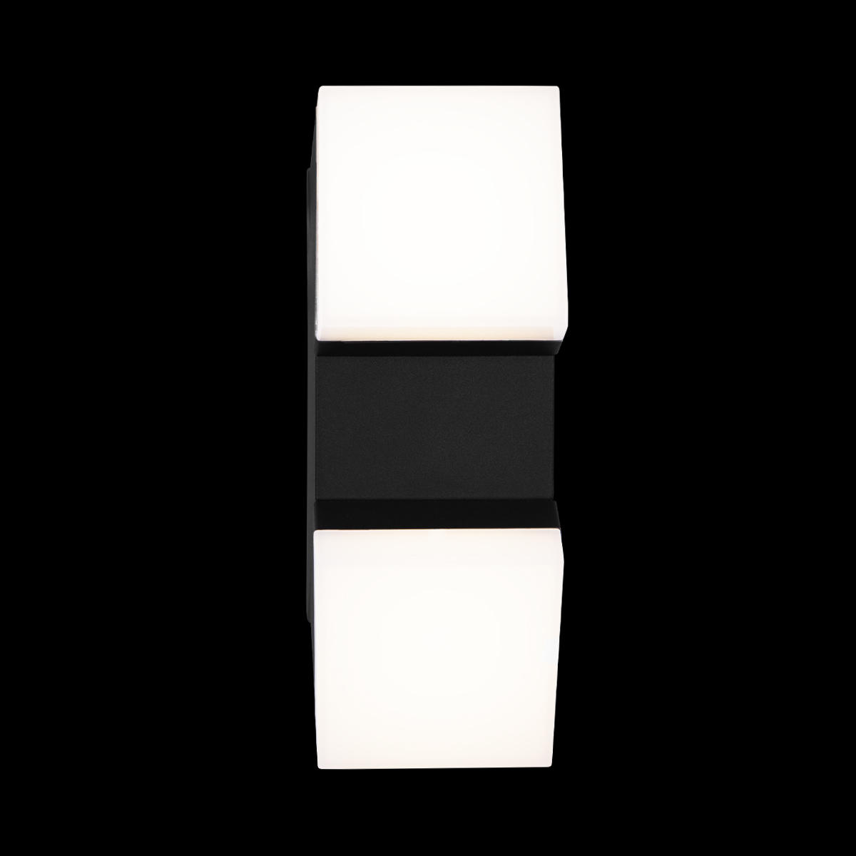 Уличный настенный светильник 9,1*22 см, 2*LED*3W 3000K LOFT IT Eterno 100010/B черный