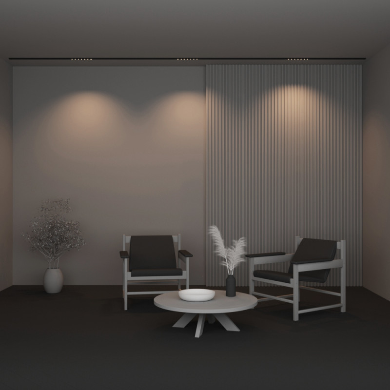 Светильник на шине 32*1,4*4539,2 см, LED, 3000-6000К, Maytoni Technical Points TR174-1-12WTW-M-B черный