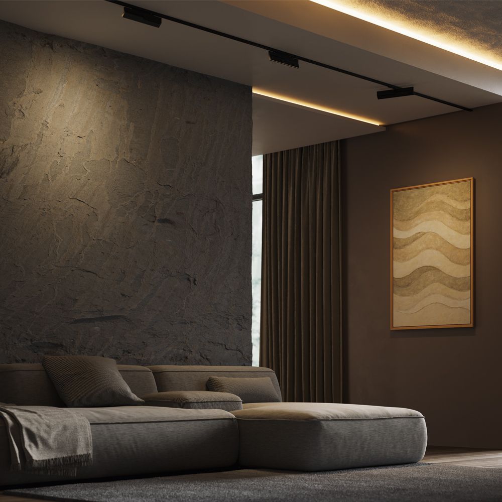 Трековый светильник Points Rot Exility X 3000K 12Вт 40° 28*1*-6 см, *LED*12W, 1200K, Maytoni Technical  TR242-2-12W3K-B, Черный