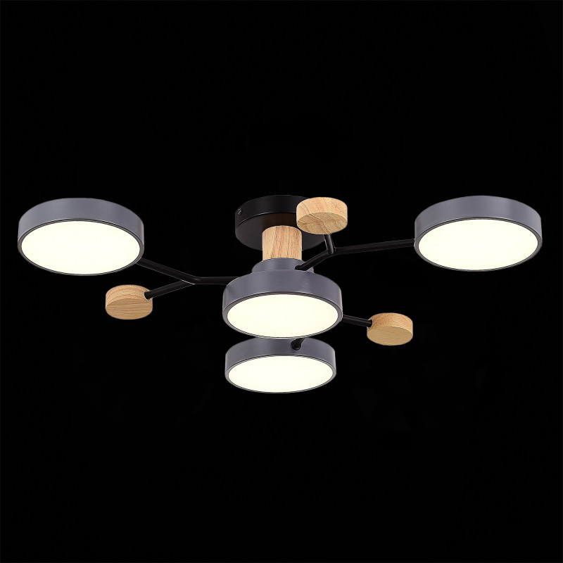 Светильник потолочный 12W, 3000K/4500K/6000K, Evoluce Faema SLE6006-702-04 Серый