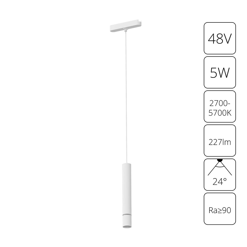 Трековый магнитный светильник 4 см, 5W, 2700-6500K, Arte Lamp Rapid A2959PL-1WH, белый
