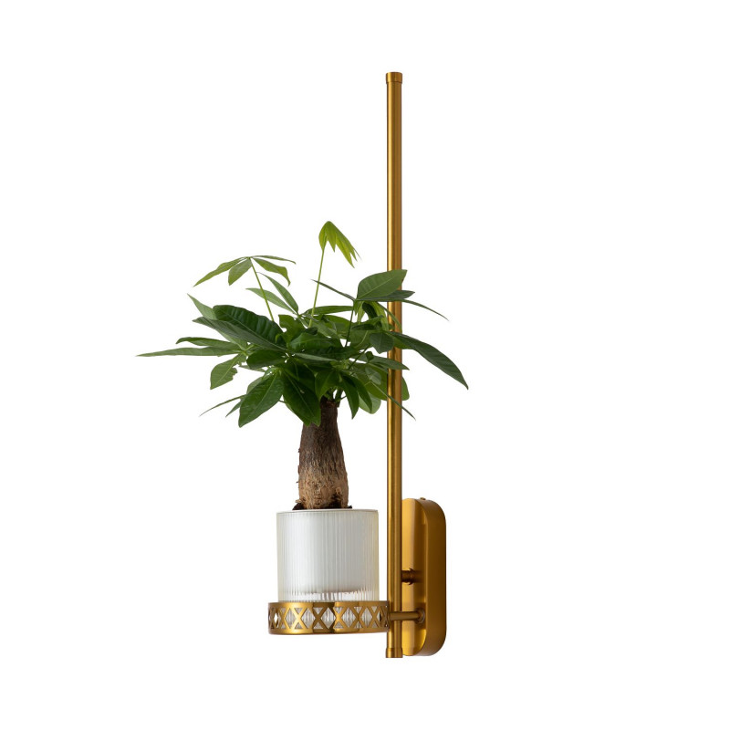 Бра Favourite Greenery 4050-1W, D210*W120*H600, светильник с подставкой для кашпо, золотой латуни, рассеиватель из белого акрила, кашпо входит в комплект