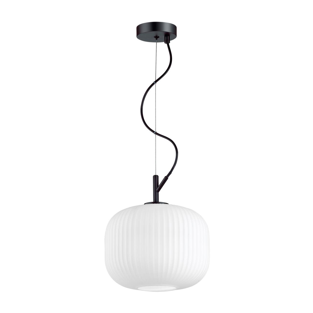 Светильник подвесной Roofi 4753/1 Odeon Light, диаметр 20 см, черный