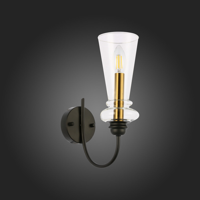 Светильник настенный 10 см, 40W,  EVOLUCE  RAMMO SLE112401-01  Черный