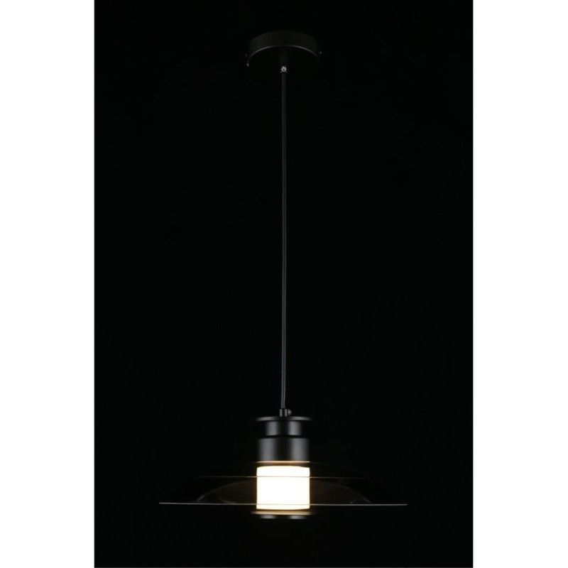 Подвесной светильник 30*40-200 см, 1*LED, 10W, 4000K, Aployt Stefa APL.648.06.10, черный