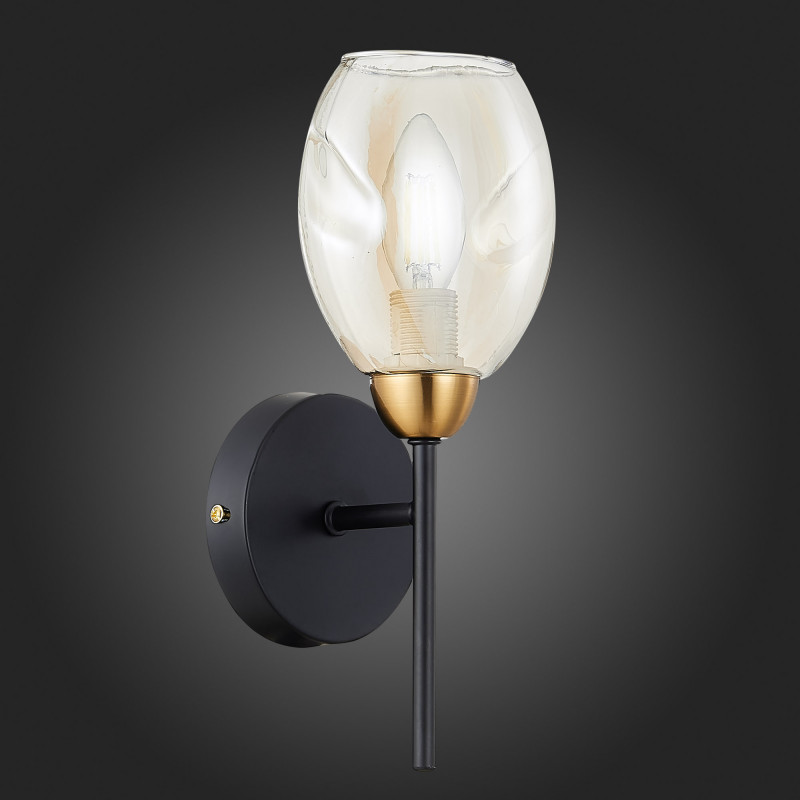 Бра 13 см,  EVOLUCE GLOA SLE155501-01 Черный, Латунь