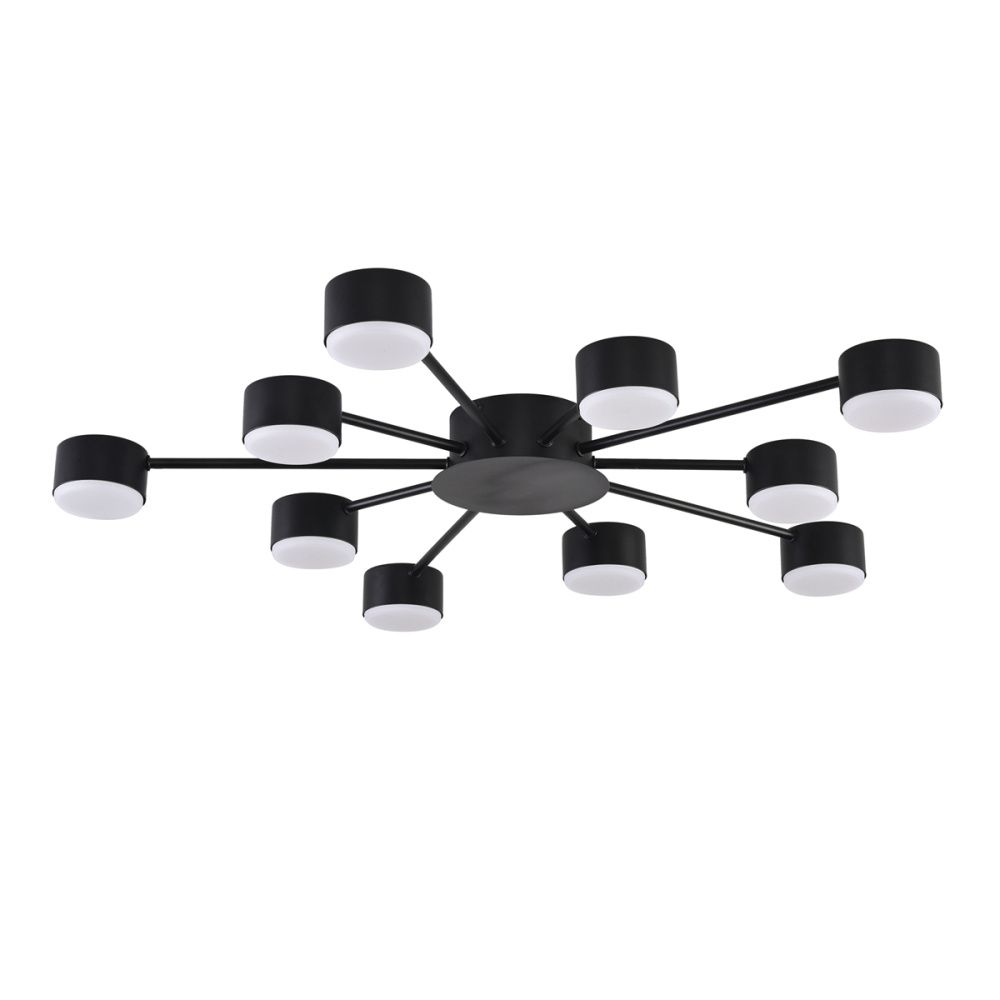 Светильник 78 см, Lumion 8344/10C, черный