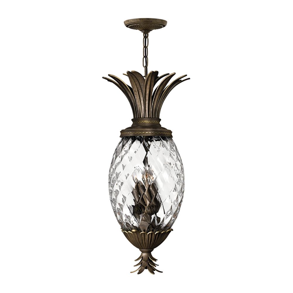 Подвесной светильник Hinkely Lighting, Арт. HK-PLANT4-P-PZ