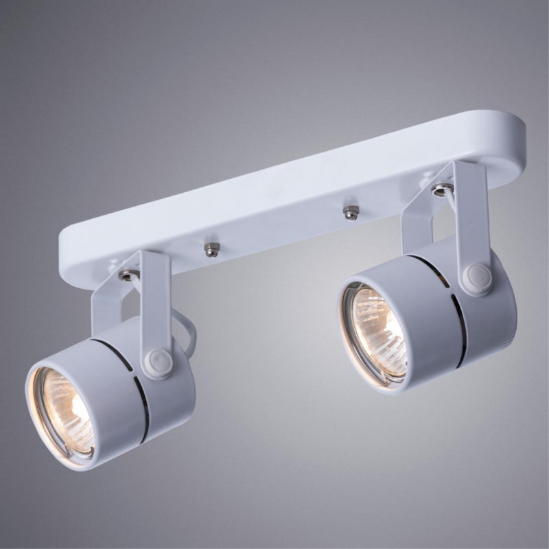 Светильник Arte Lamp MIZAR A1311PL-2WH белый