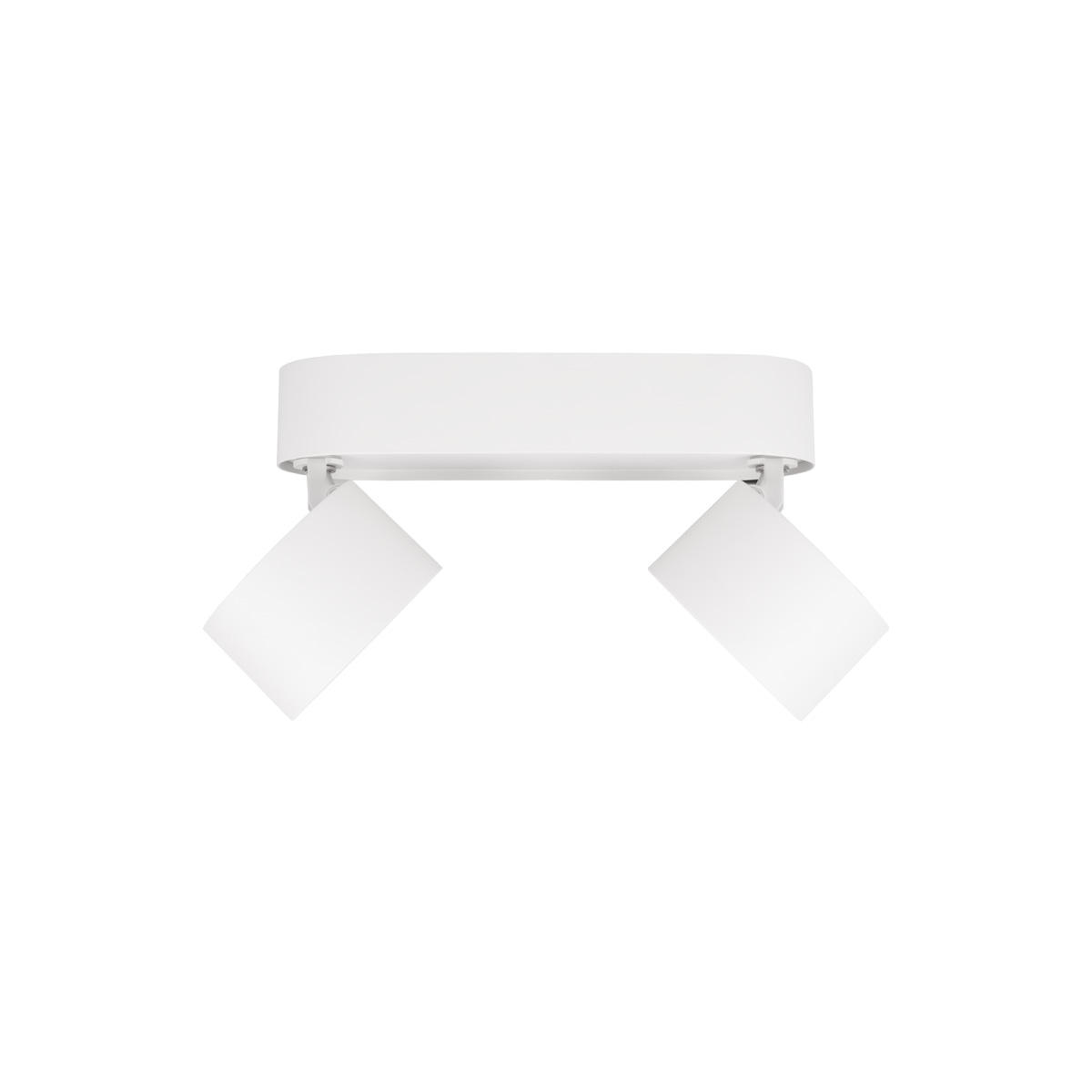 Накладной светильник 18,5*7,5*9 см, 2*LED*12W 4000K LOFT IT Focus 10323/2A White белый