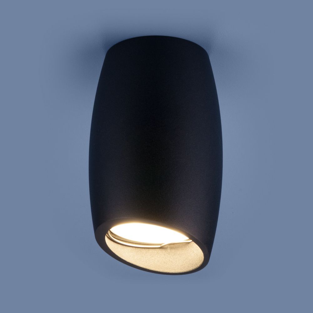 Накладной потолочный светильник Elektrostandard DLN002, черный