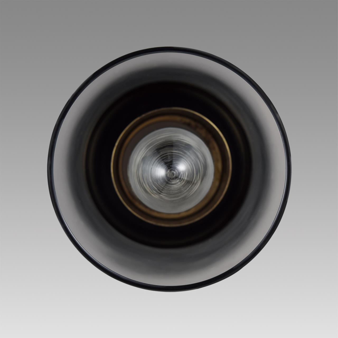 Подвесной светильник 10*80 см, 1*E14 Lumion ISHA 8101/1A черный, бронза