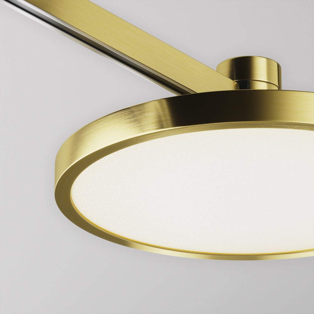 Трековый светильник Plato Flarity 4000K 10Вт 120°, 5,4 см, LED*10W, Maytoni TR153-1-10W4K-BS, Латунь