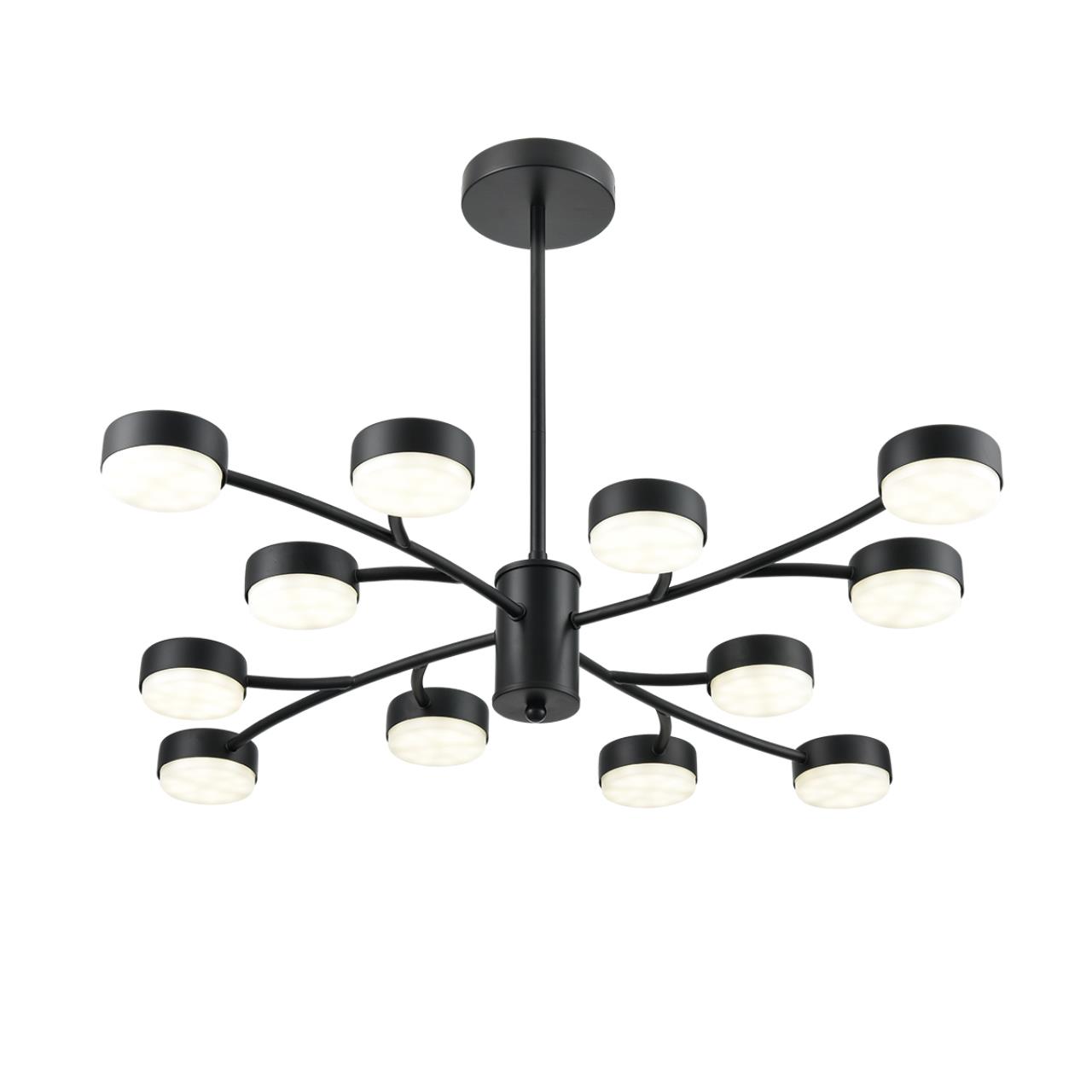 Люстра 80*45 см, 12*GX53 Lumion Torina 8117/12 черный