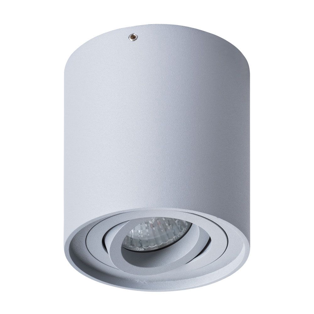 Потолочный светильник Arte Lamp Falcon A5645PL-1GY серый