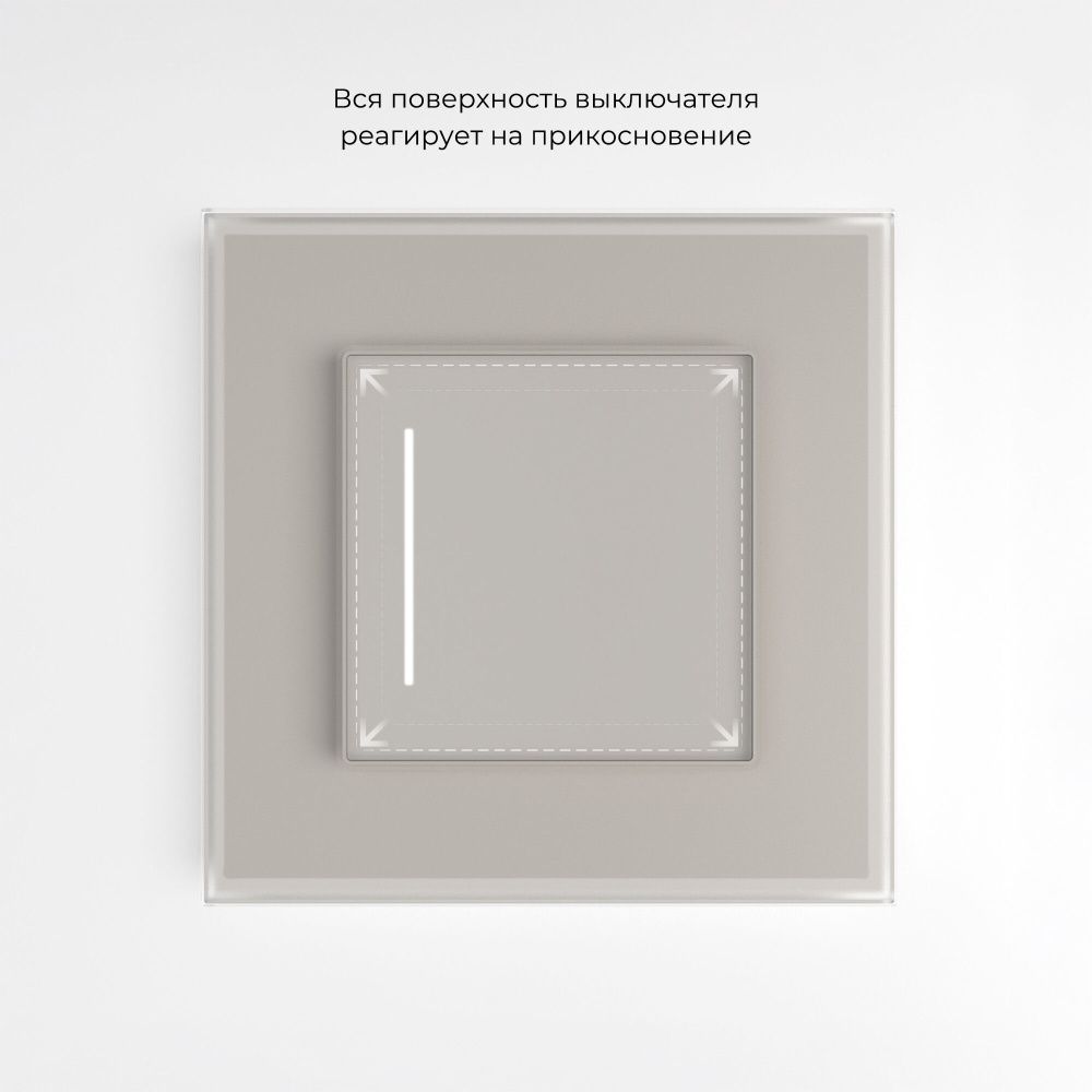 W4512014 Сенсорный выключатель одноклавишный с подсветкой, дымчатый Werkel, 4690389213854