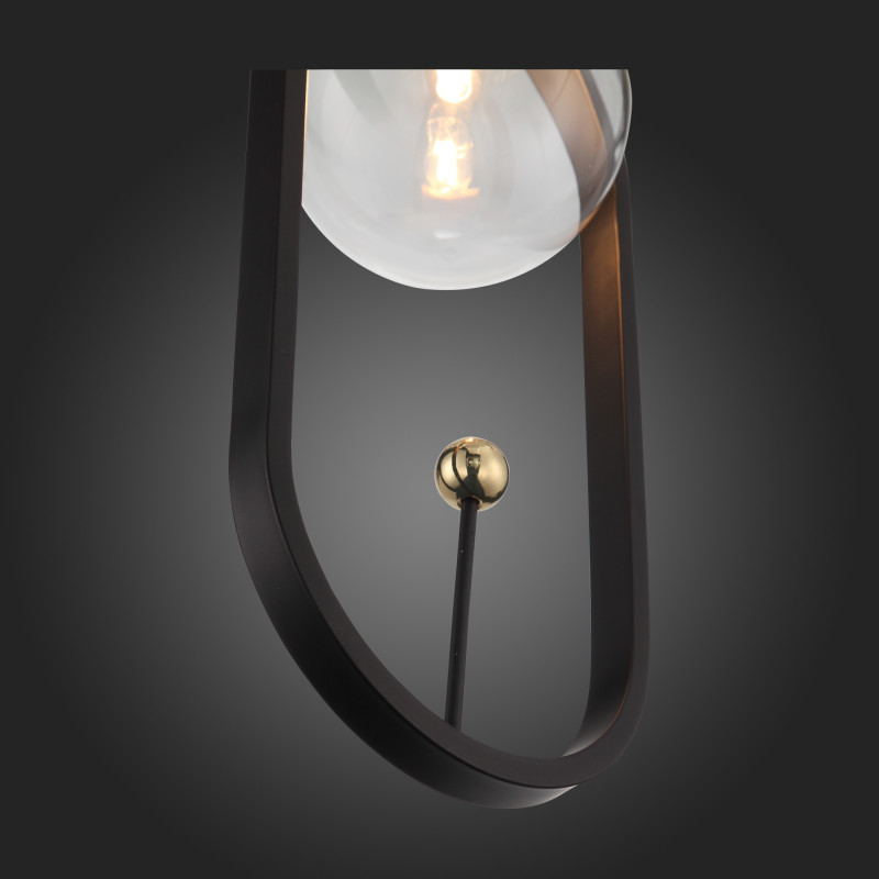 Подвес 17*13 см, ST LUCE CIRCONO SL1201.403.01 Черный