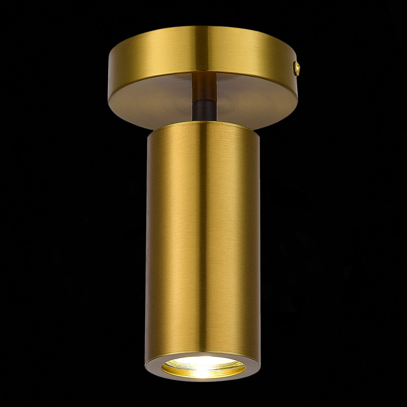 Светильник 10 см ST LUCE TALIA SL1215.402.01 Черный/Латунь