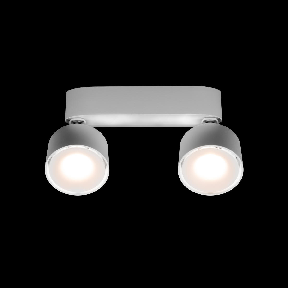 Накладной светильник 18,5*7,5*9 см, 2*LED*12W 4000K LOFT IT Focus 10323/2A White белый