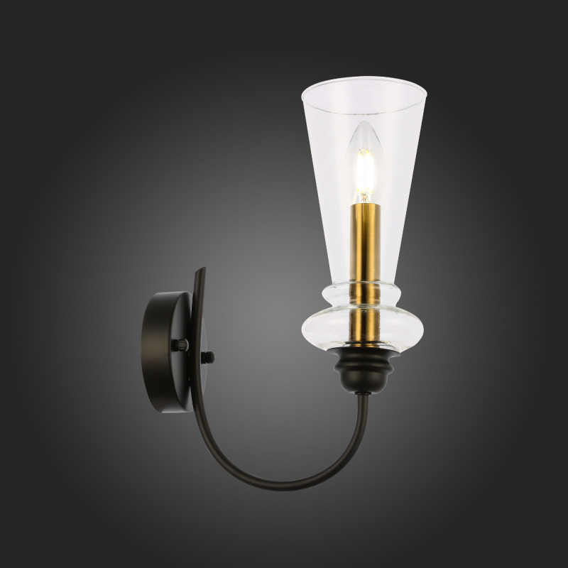 Светильник настенный 10 см, 40W,  EVOLUCE  RAMMO SLE112401-01  Черный