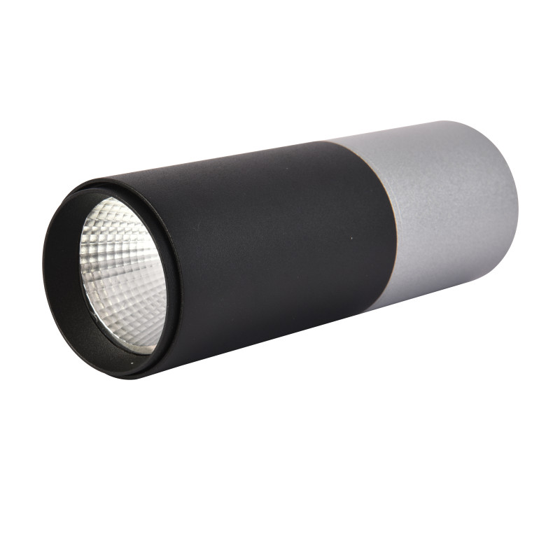 Светильник 5*5 см, LED 5W, 4000K Favourite Deepak 3072-1C, D50*H139, Светильник, каркас сочетает в себе два цвета - серебро и матовый черный
