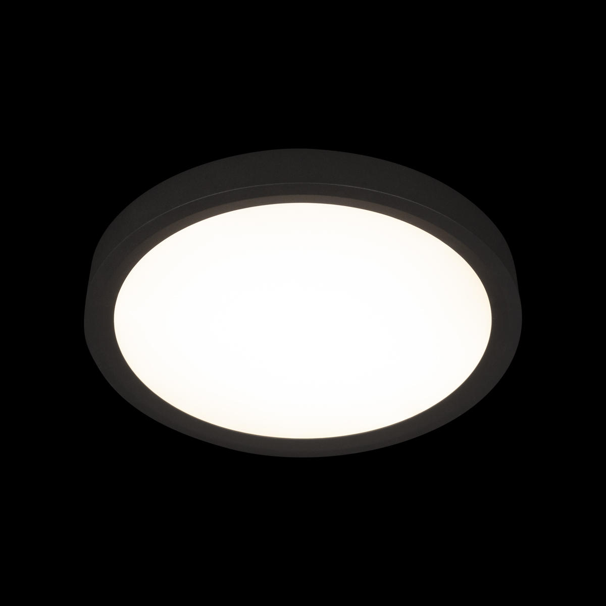 Потолочный светильник 30*3 см, 1*LED*24W 4000K черный LOFT IT Extraslim 10227/24 Black