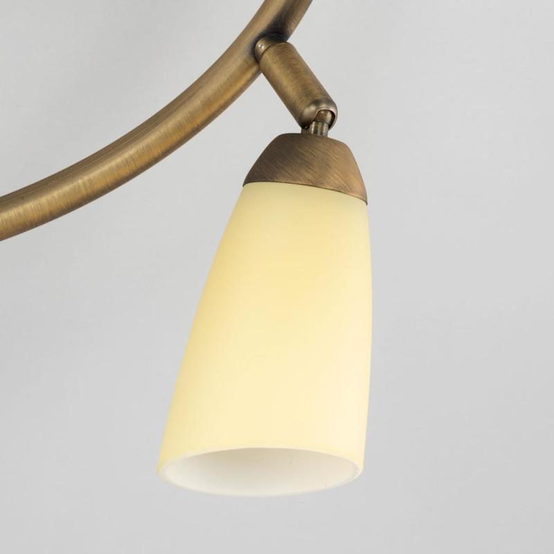 Спот Citilux CL501163 бронза