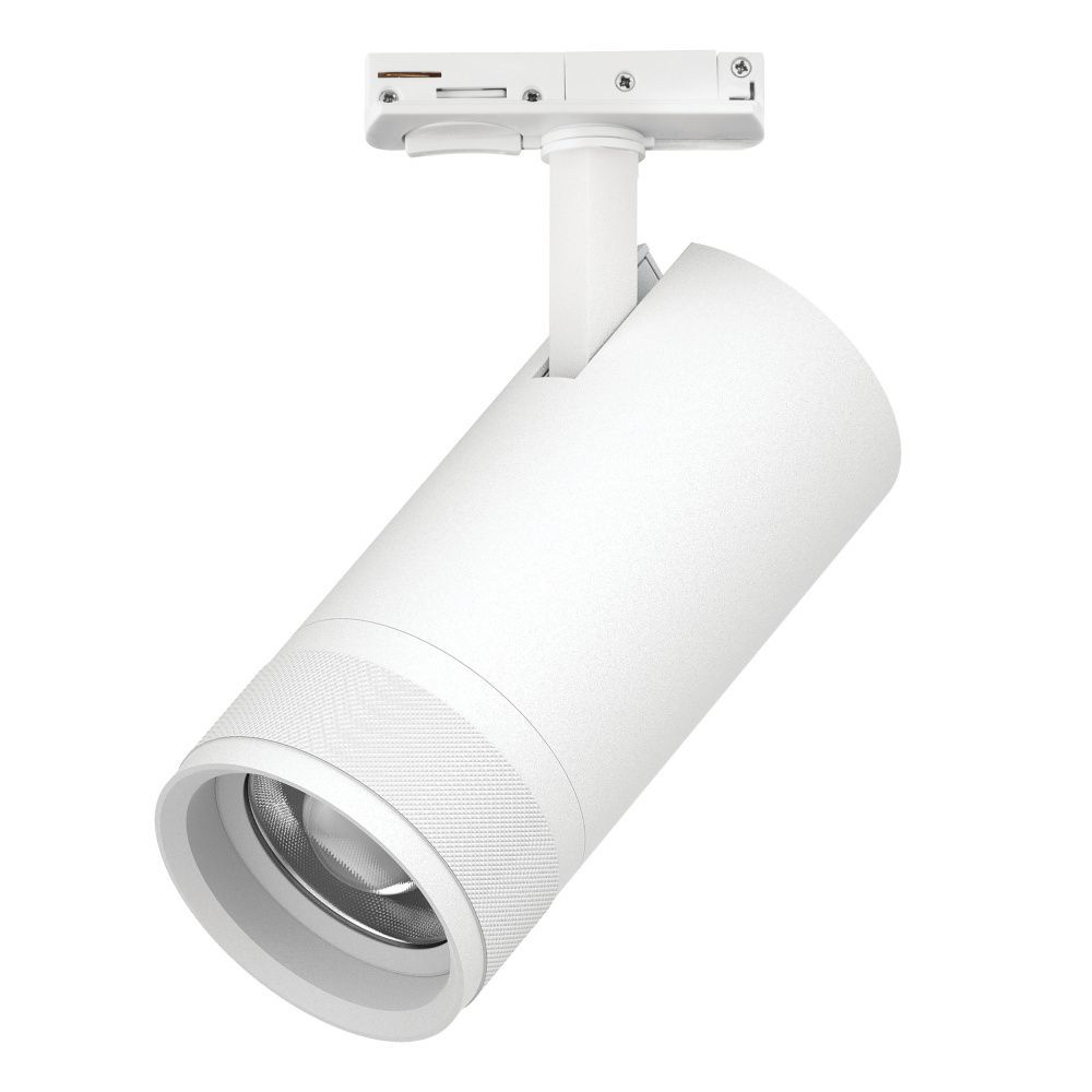 Светильник BARRA с тонким адаптером *8*17,6 см, *30W, 2700-4200-6000K, Lightstar Canno Pro C4306SS, Белый