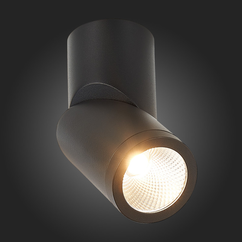 Светильник 6 см, 10W, 3000K ST LUCE ST650.432.10 Черный, IP44