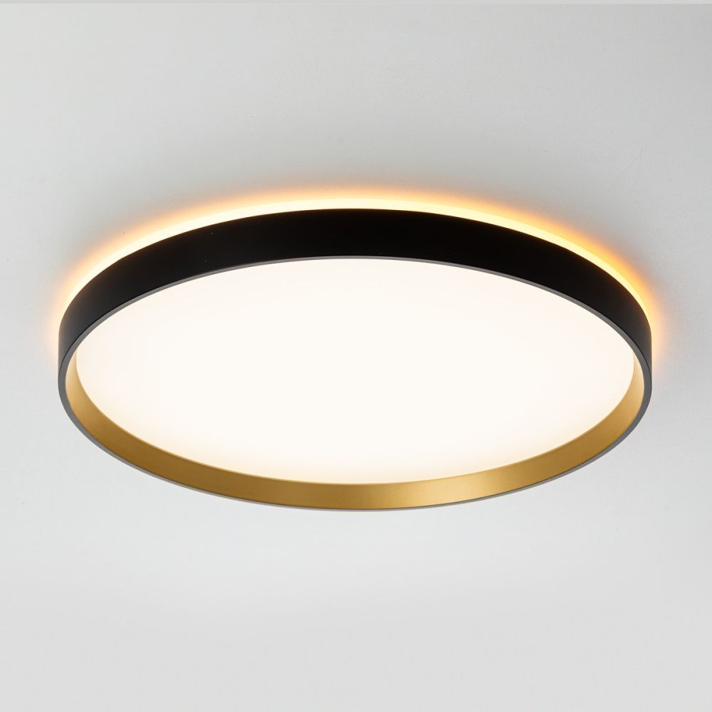 Светильник с пультом 40 см, 40W, 3000-5500K Чёрный+Золото Citilux ETALON CL750401R LED RGB