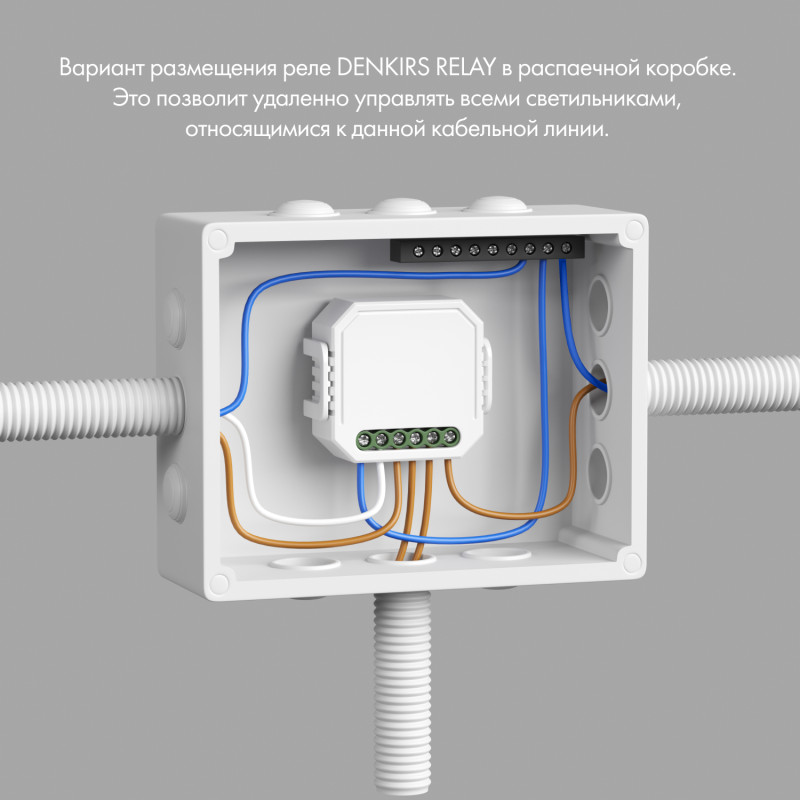 Wi-Fi реле Denkirs RL1002-SM белый