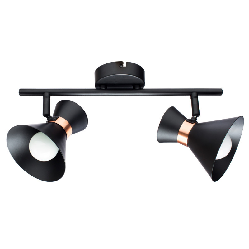 Спот Arte Lamp Baltimore A1406AP-2BK, черный/золотой