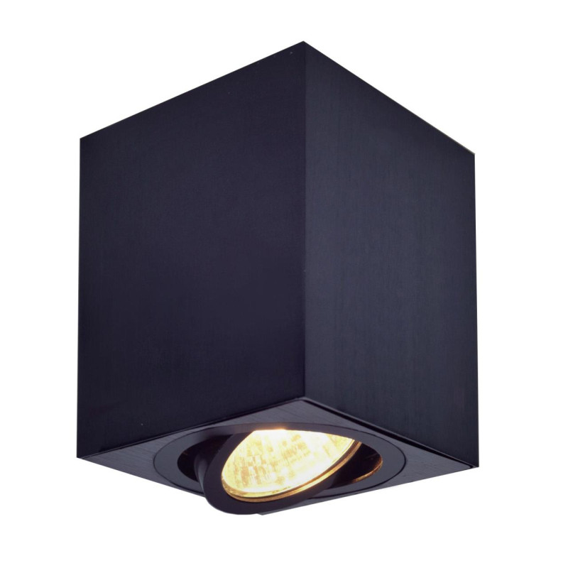 Светильник Черный Citilux Дюрен CL538213