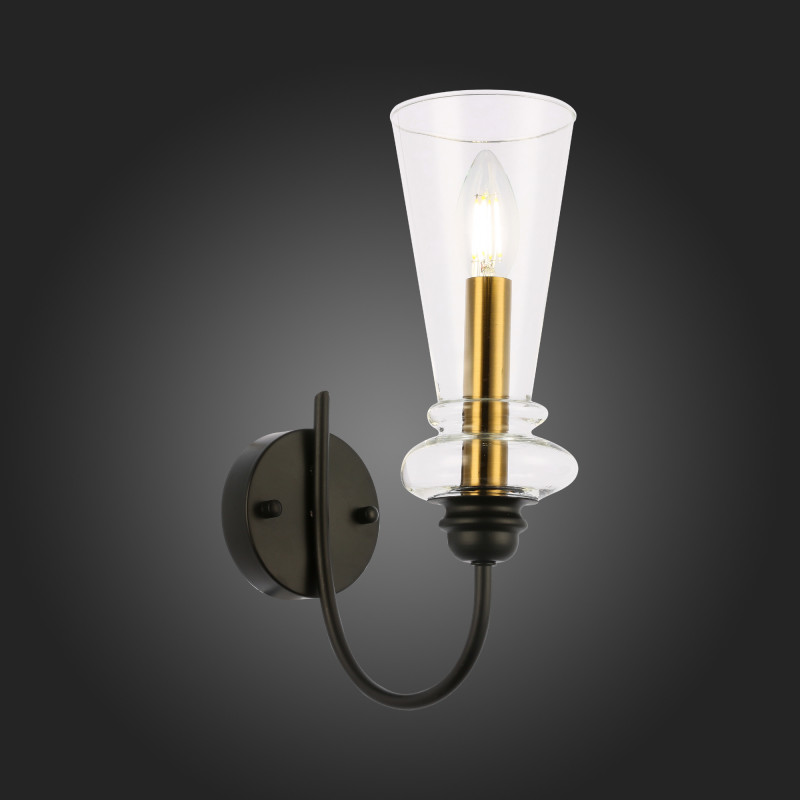 Светильник настенный 10 см, 40W,  EVOLUCE  RAMMO SLE112401-01  Черный