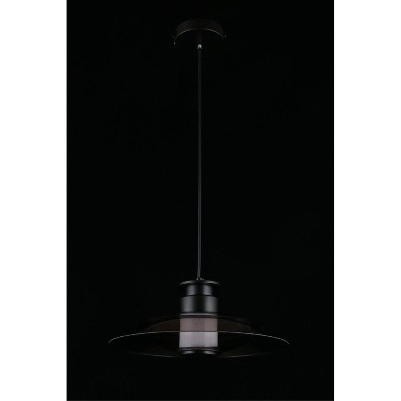 Подвесной светильник 30*40-200 см, 1*LED, 10W, 4000K, Aployt Stefa APL.648.06.10, черный