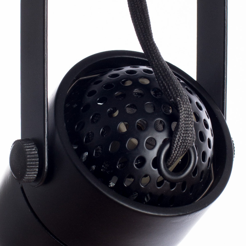 Спот Arte Lamp Lente A1310PL-2BK, черный