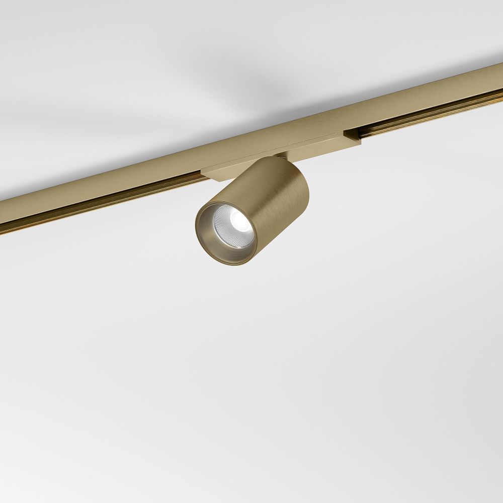Brass Line Трековый светильник 10W 4000K латунь 85525/01 Elektrostandard Line Magnetic 4690389218729, a071846