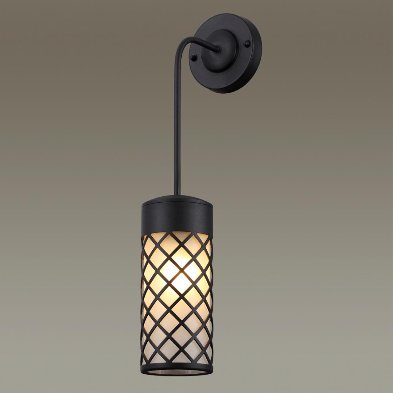 Уличный настенный светильник Odeon Light Dunes 4834/1W, черный